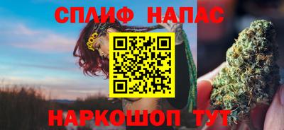 МДПВ Сланцы