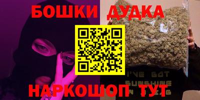 МДПВ Сланцы