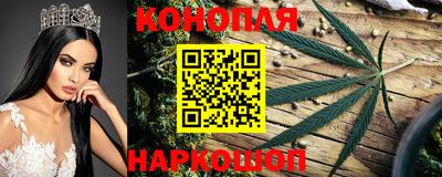 прущие крисы Славгород