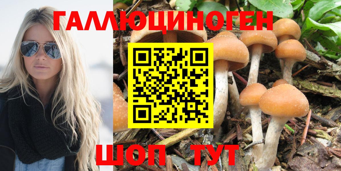Россошь  Галлюциногенные грибы ЛСД  Вход с VPN 