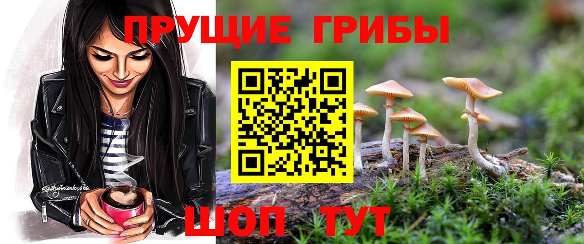 Галлюциногенные грибы Psilocybe Россошь